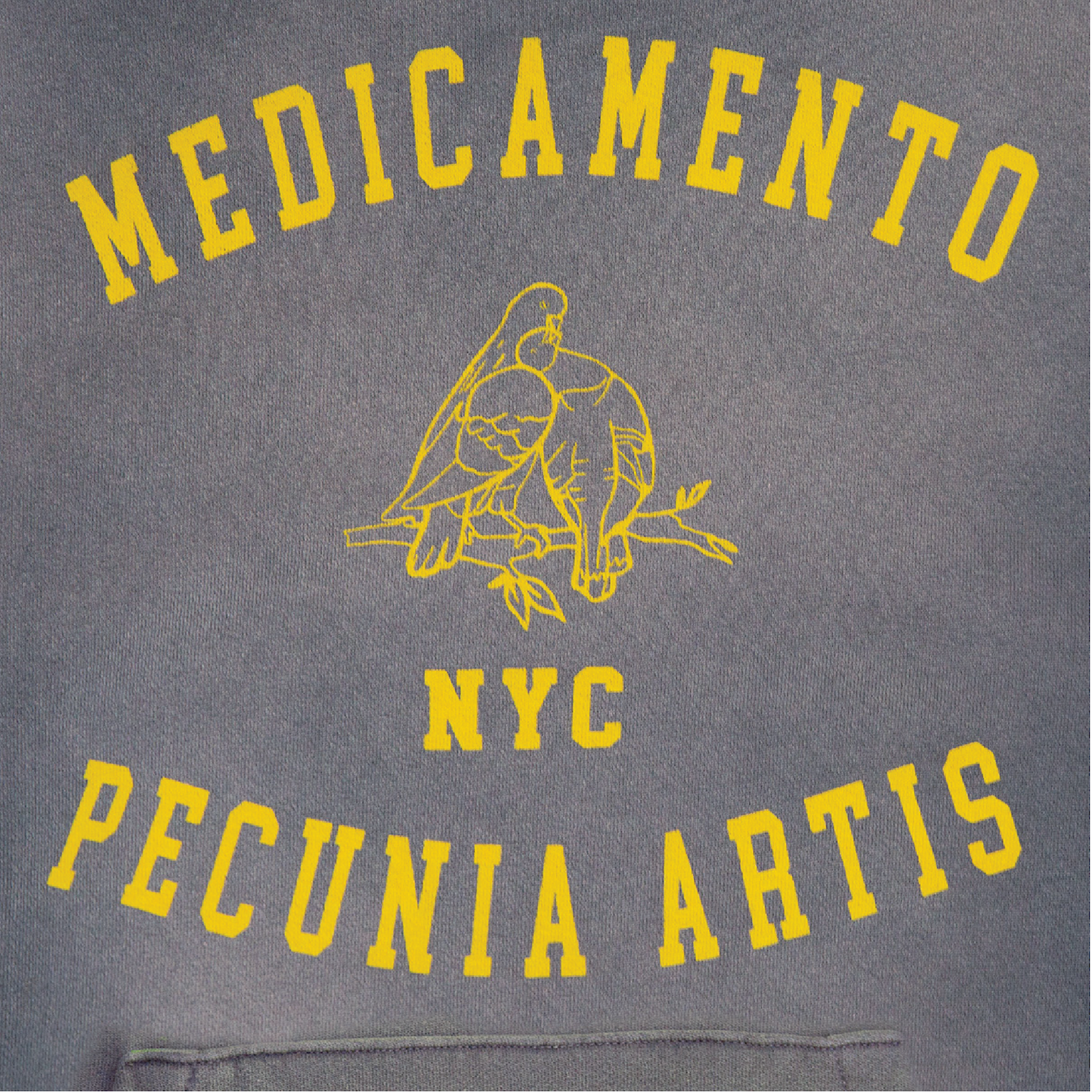 Faded Blue MPA NYC Hoodie